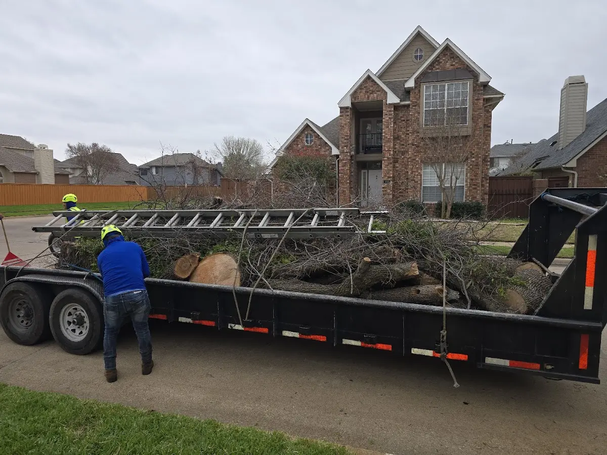 Expert Tree Removal with proper safety equipment in Bartlett